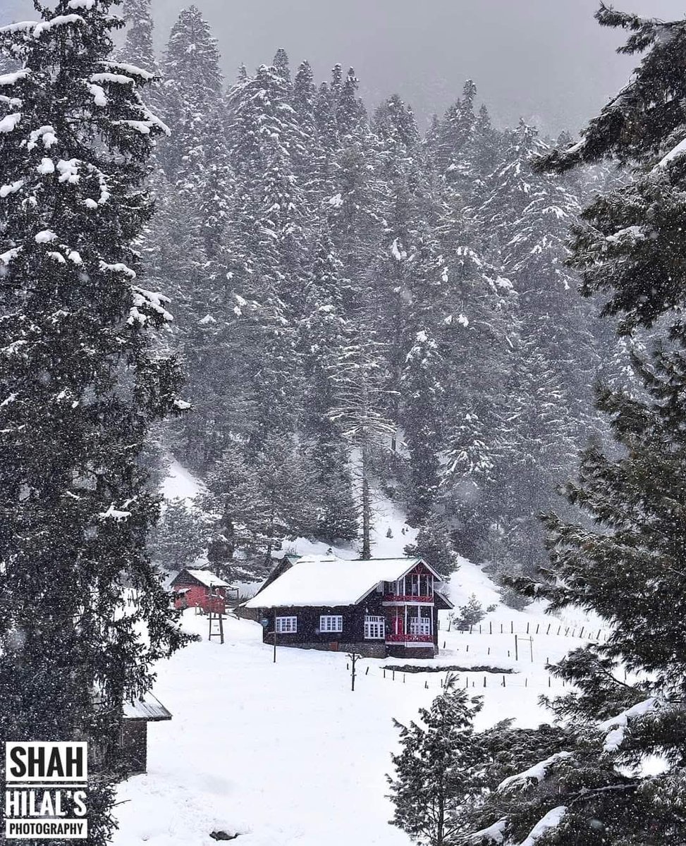Pahalgam kashmir 

📷 Shah Hilal