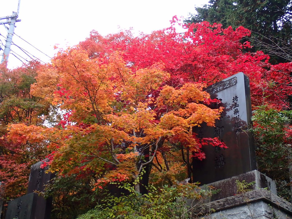 outback3180's tweet photo. 晴天ならば…
@御岳山 https://t.co/OeMkhfndEo