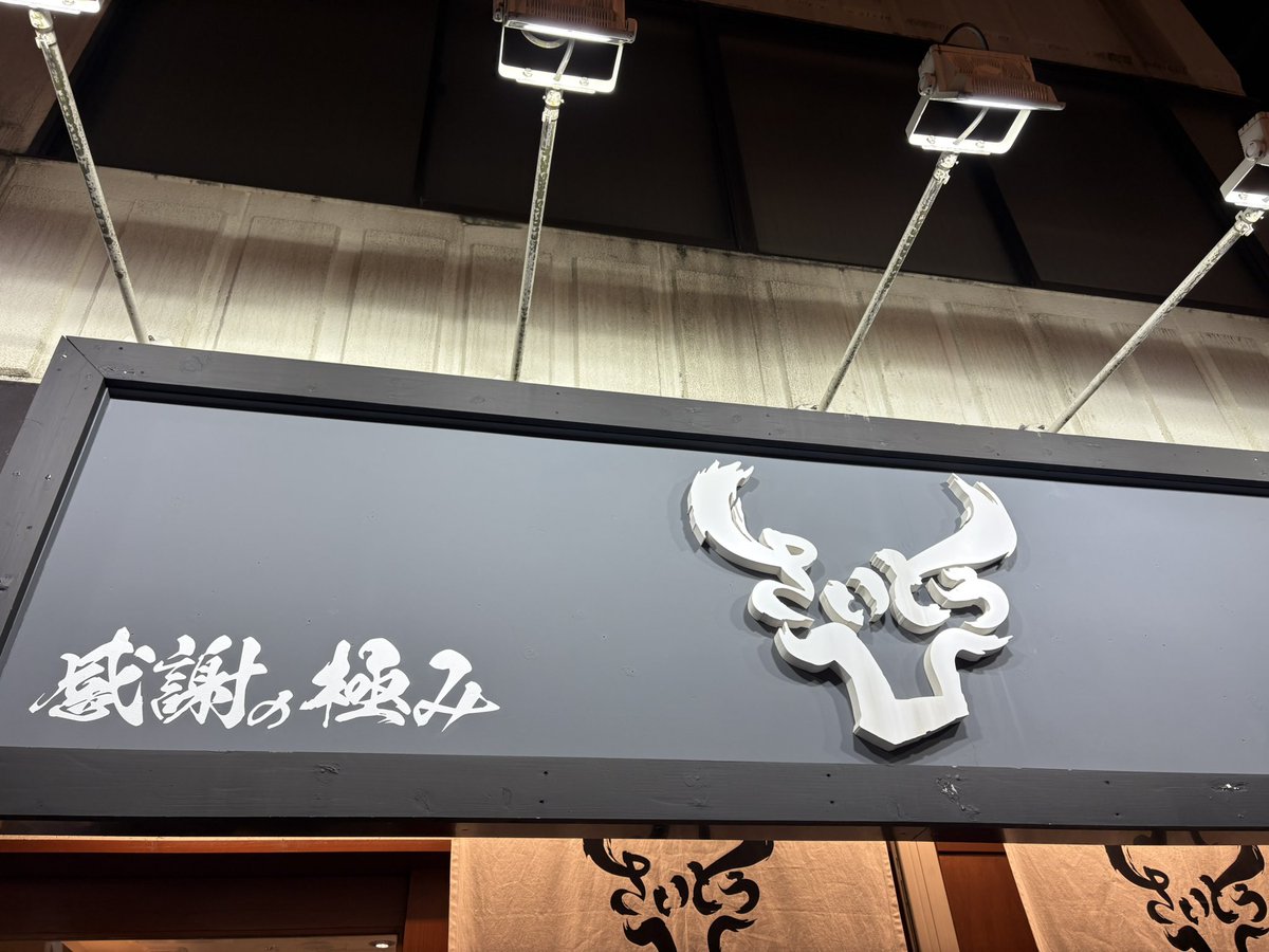 ねぎましまし カワサキ ZX-10R 2020年モデル KRT Edition トリックスター