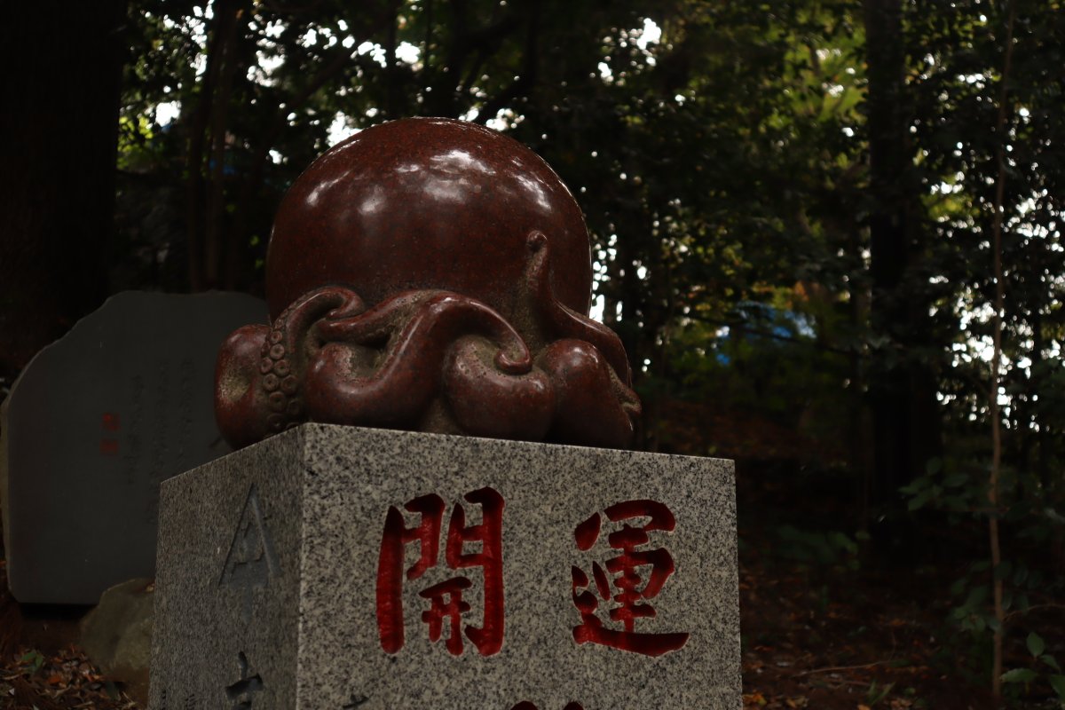 yarigachi_4569's tweet image. 【高尾山登頂】
　使用カメラ：Canon EOS m200

　天狗とたこ、、？

#EOSM200
#高尾山
#敷嶋重工写真部