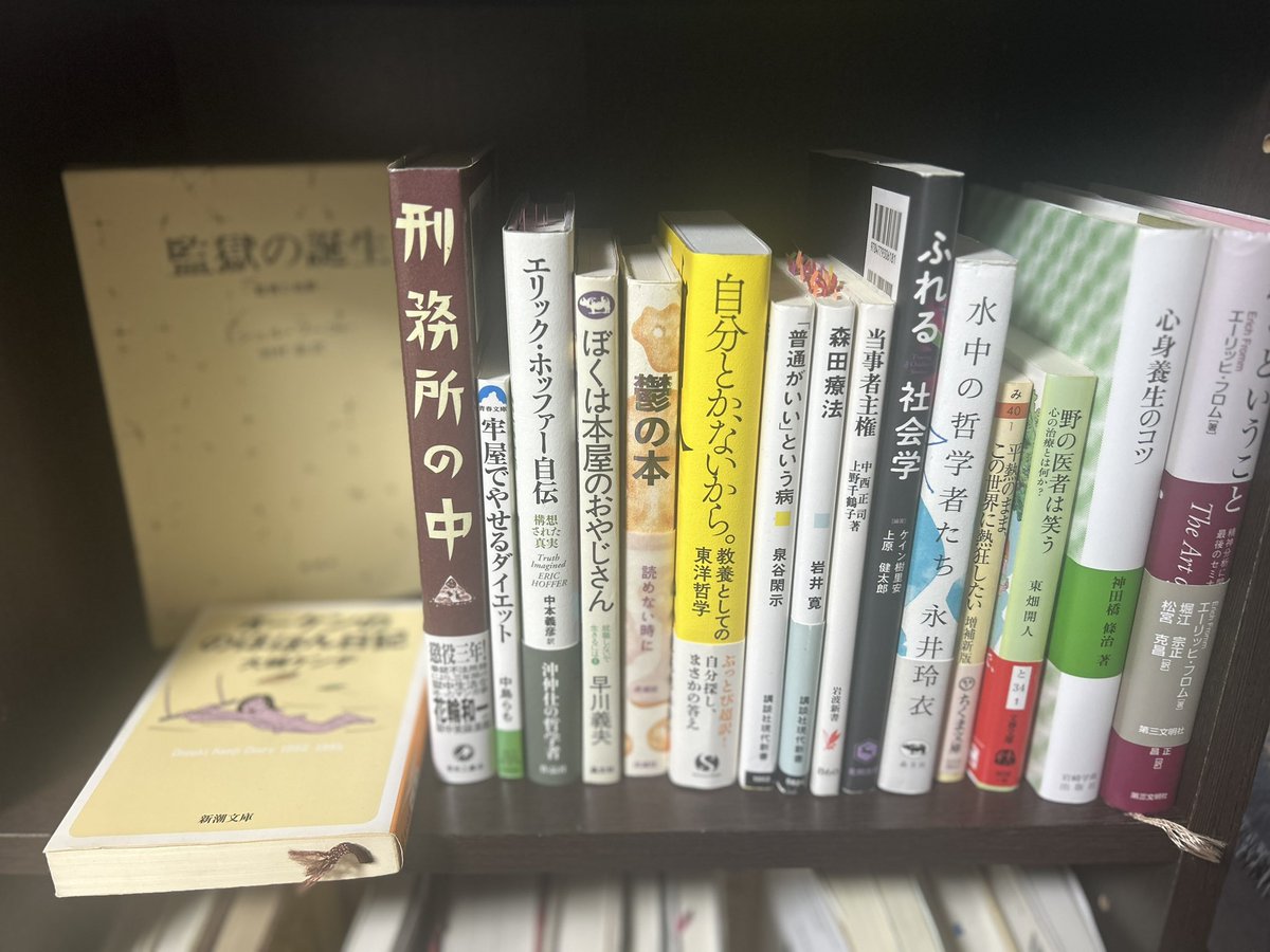 サイトウ ショウタ on X