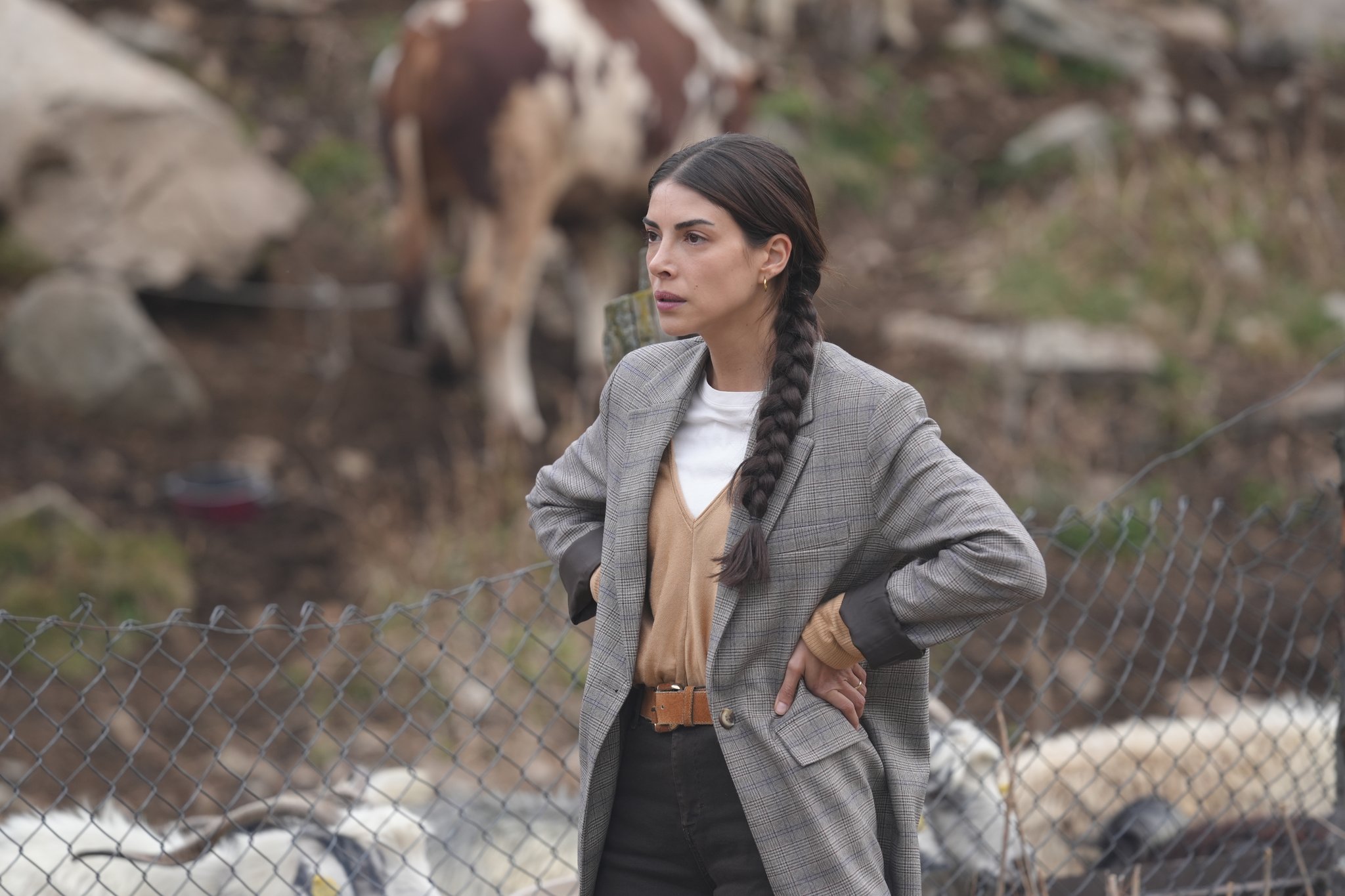 G4_Uix0WsAAd6ah?format=jpg&name=large