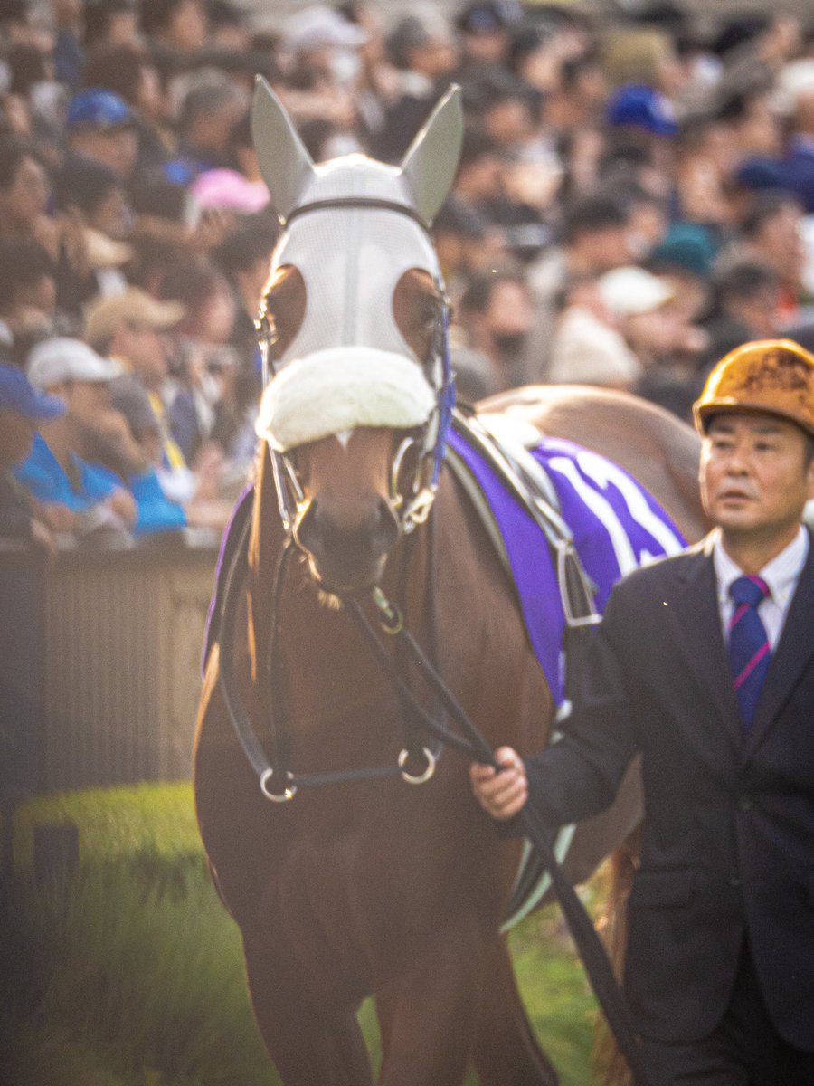 うたちゃん (@uta0510) / Posts / X