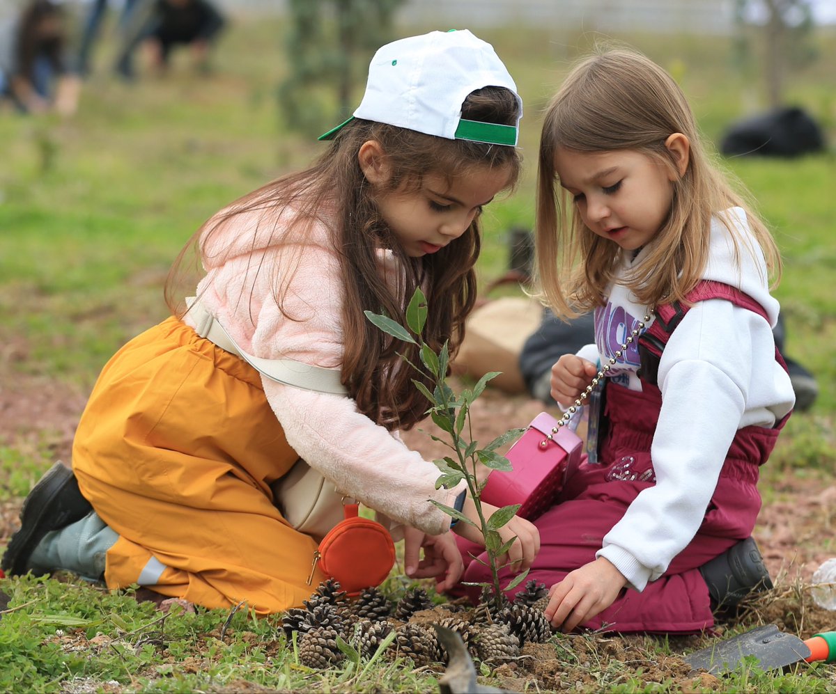 🌱 10 Kasım Atatürk'ü Anma ve 11 Kasım Millî Ağaçlandırma Günlerinde Öğrenciler, “Geleceğe Nefes” İçin Toprağın Kalbine Fidan Bırakacak 🌳

Türkiye Yüzyılı Maarif Modeli'nin “erdem-değer-eylem” bütünlüğü ve gönüllülük esasıyla gerçekleştirilecek etkinliklerle öğrencilerin Gazi
