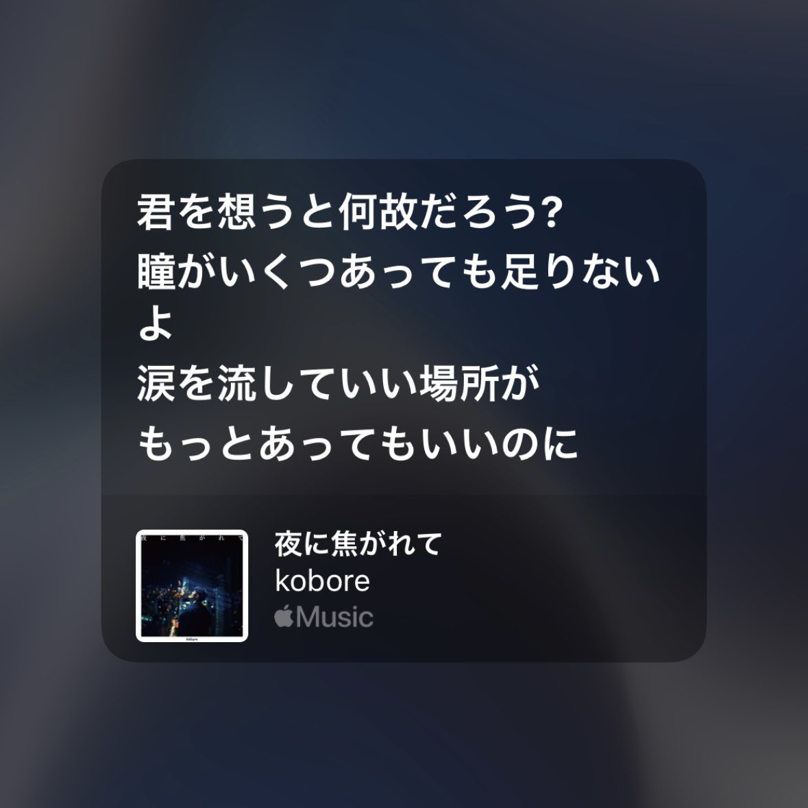 kobore_official's tweet photo. 夜はkoboreの音楽が寄り添うよ。 https://t.co/HAQmMgxAr3