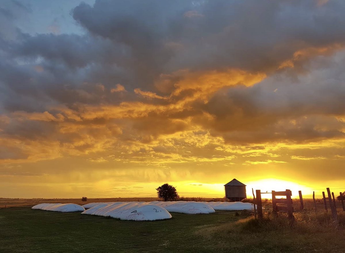 🌾 Estrés en agricultura — Nueva actualización

Hace poco escuché a una especialista norteamericana que hablaba del estrés en la agricultura, y esto fue lo que aprendí:

🔹 Enfocarse en lo que sí se puede controlar. No podemos decidir si llueve, pero sí si salimos al lote, si