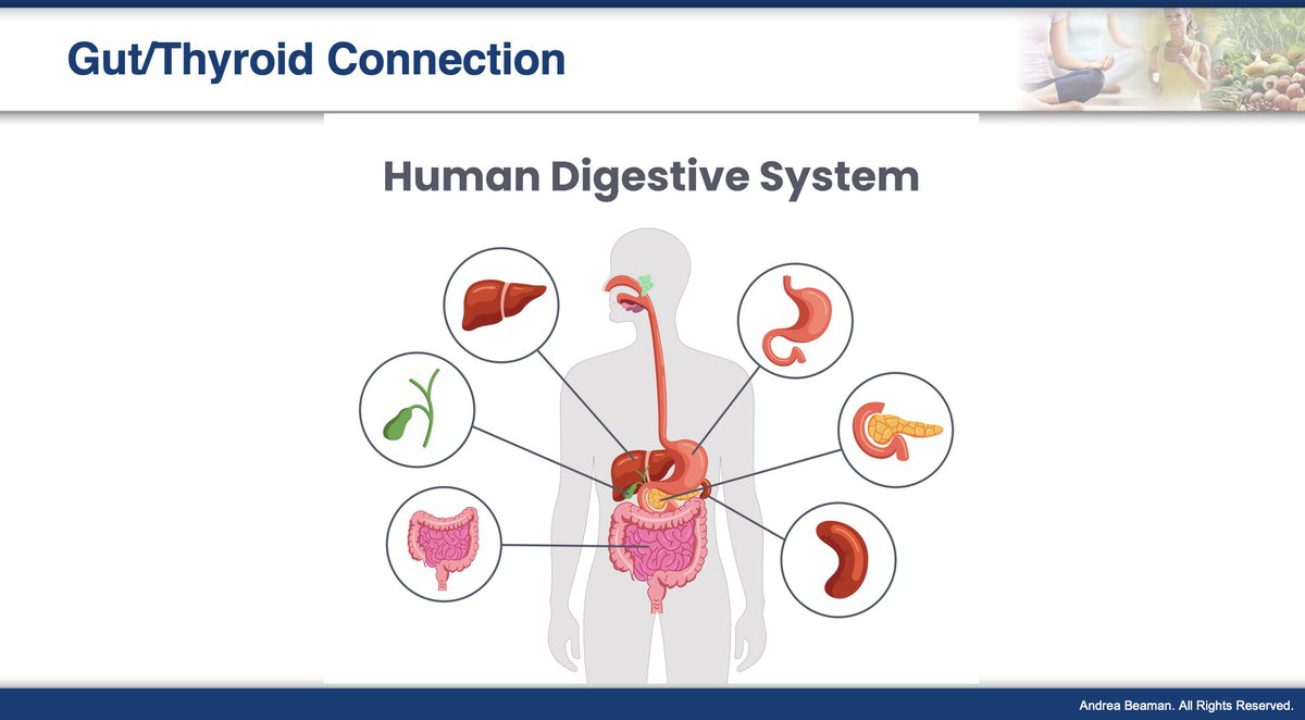 Most people think they are doing all the right things for their thyroid - eating well, taking supplements, managing stress, but still feel exhaustion, brain fog, weight gain, and hair loss. Once you see how the thyroid, liver, gut, and hormones are all connected, everything
