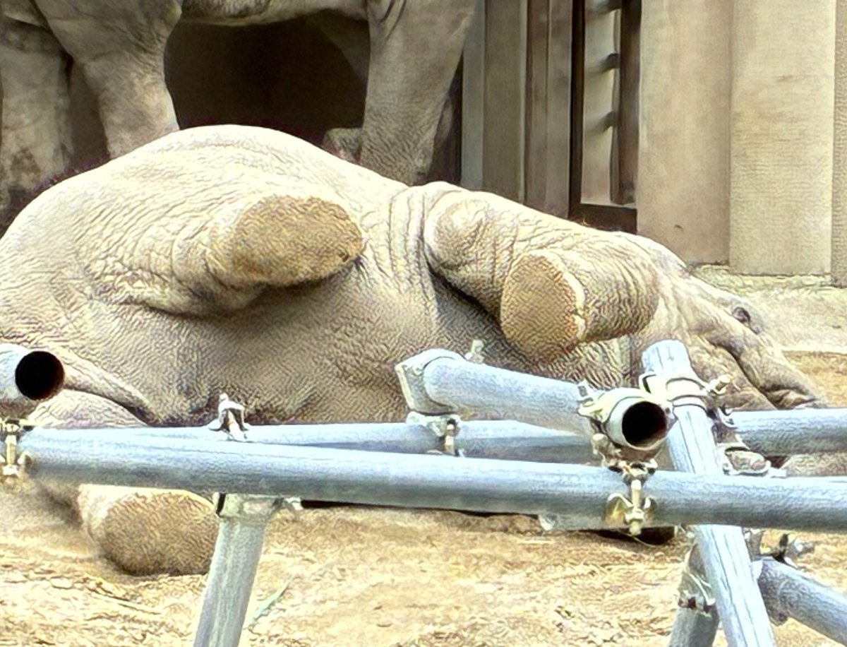 きょうちゃん on X