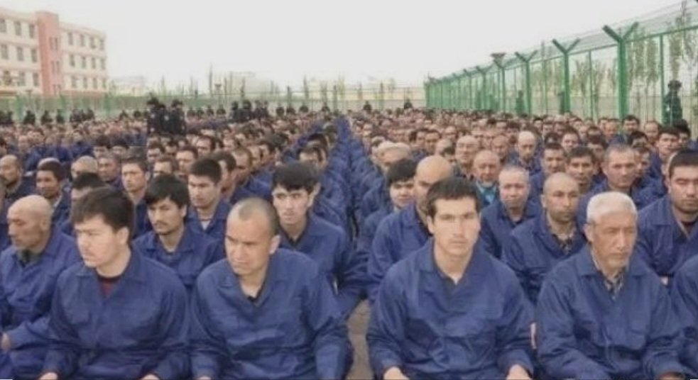 AllBiteNoBark88's tweet image. #Labors Jacinta Allan is a complete fraud.

She attempts to create laws in #Victoria for a Treaty with Indigenous Peoples AT THE VERY SAME TIME as doing business with China who ENSLAVE their Indigenous Peoples, the Uyghurs in internment camps.

Make it make sense