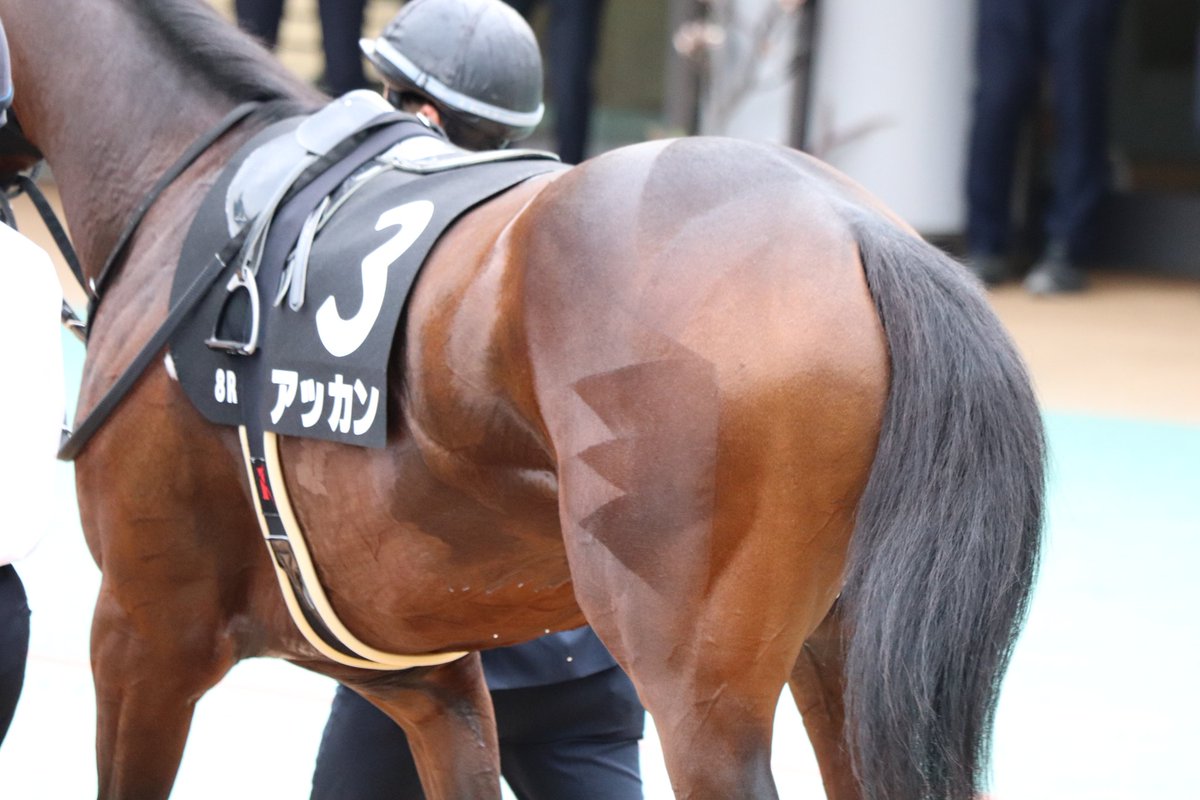 ‪サッチーページ さち on X