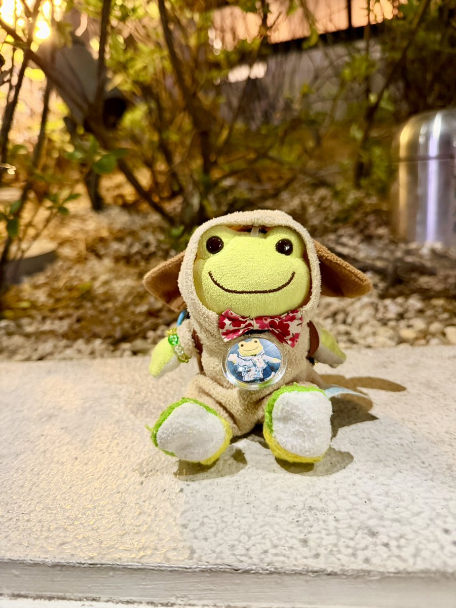 マハロ様 マハロ with 増田ポピー🐸 (@mahalo_the_frog) / Posts / X