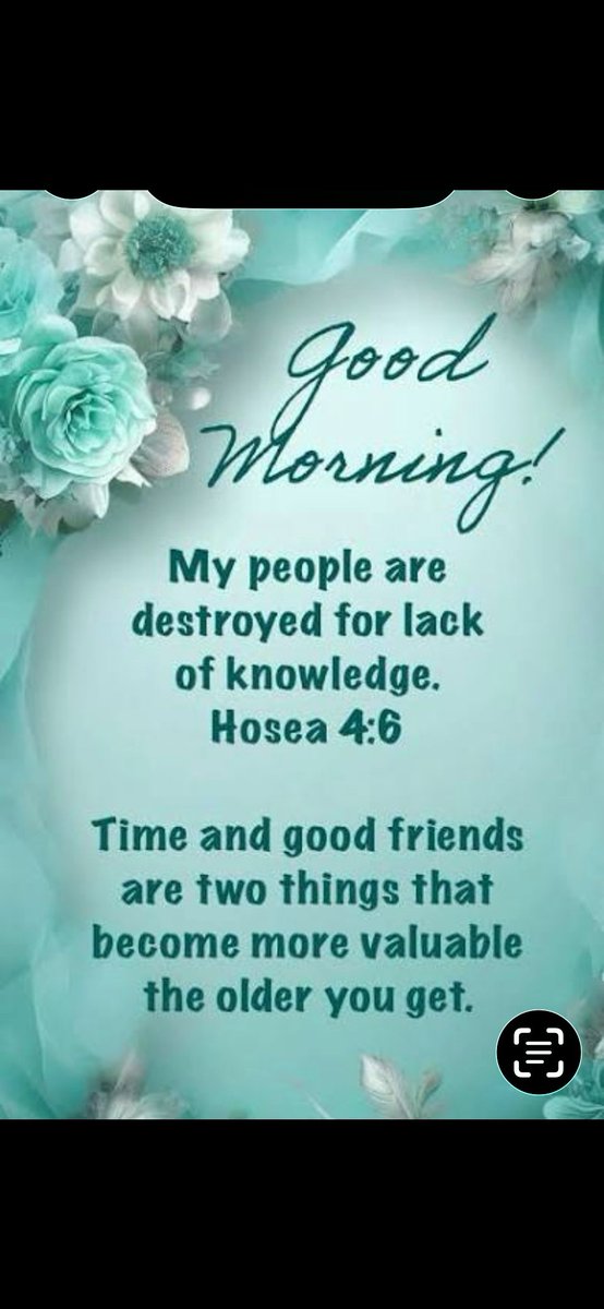 Padnation2's tweet photo. Verse of the Day
November 05
John 16:33
33 “I have told you these things, so that in me you may have peace. In this world you will have trouble. But take heart! I have overcome the world.”
Read John 16 https://t.co/0iQogA7CSc