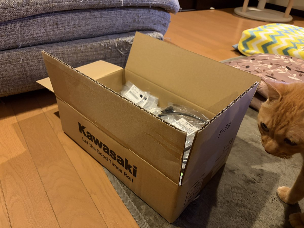 たまにゃー カワサキ・ニンジャZX-9R - Wikipedia