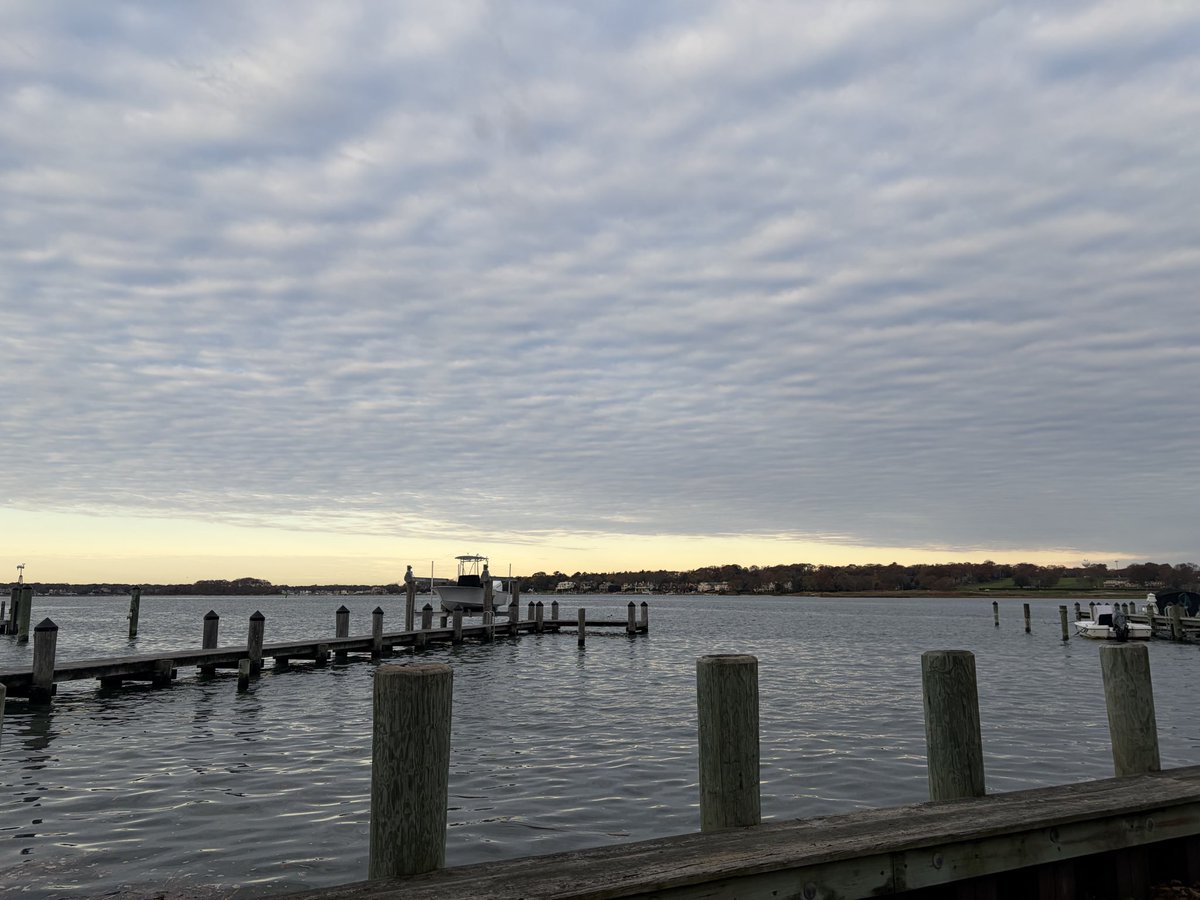 AlwaysReadyLife's tweet image. Morning run with my daughter