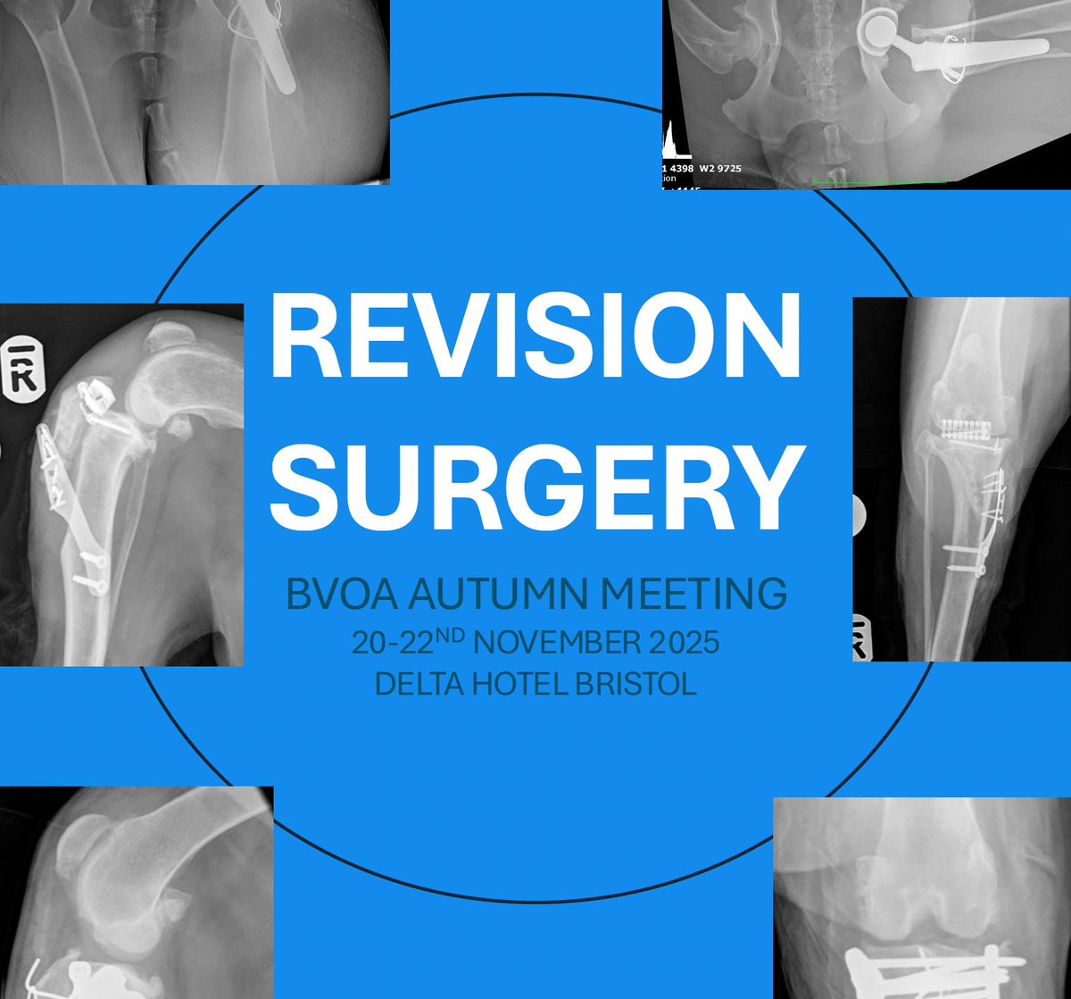 British Veterinary Orthopaedic Association tweet media