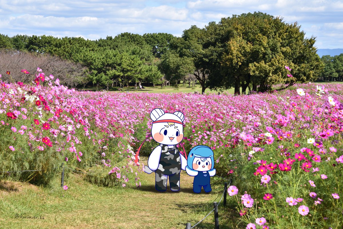 みずたに / 水谷青葉 on X