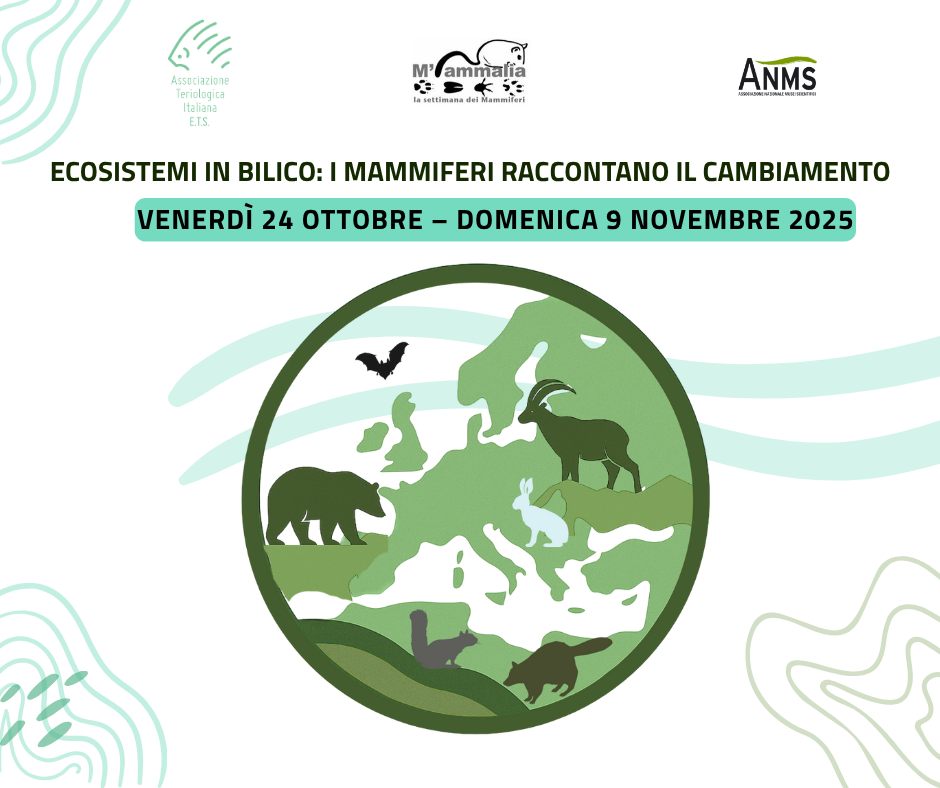 📢🔬NON PERDETE LE INTERESSANTI INIZIATIVE ORGANIZZATE DAI MUSEI ANMS!🔭🌏
👉Ecco il link alla nostra newsletter settimanale: mailchi.mp/b4dec12b5bc8/g…
👀 Continuate a seguirci anche sul nostro sito: anms.it
👥 Per diventare Soci ANMS scrivete a: segreteria@anms.it