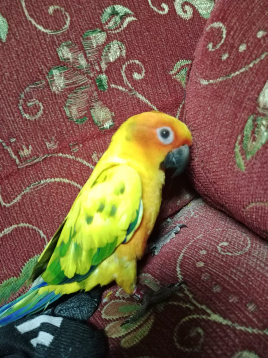 antara nge-judge sama tersangka kriminal beda tipis