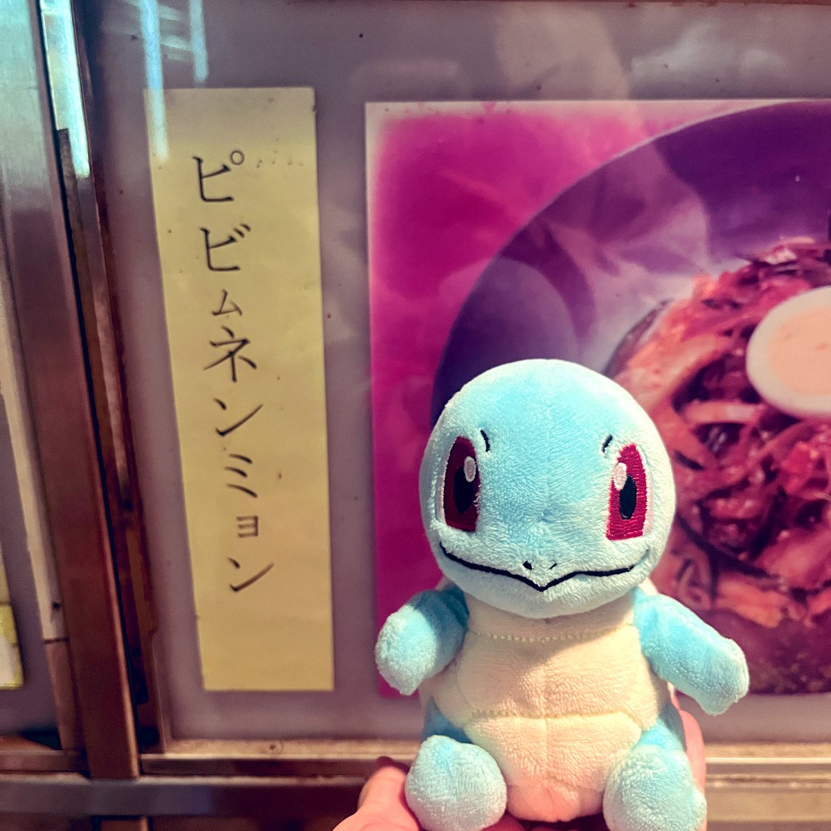 まいにちゼニガメ (@kobouzu007) / Posts / X