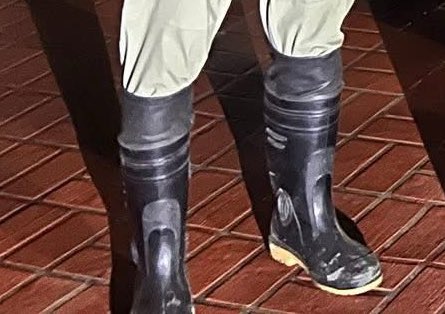 kc lee (@kclee0547216816) on Twitter photo 