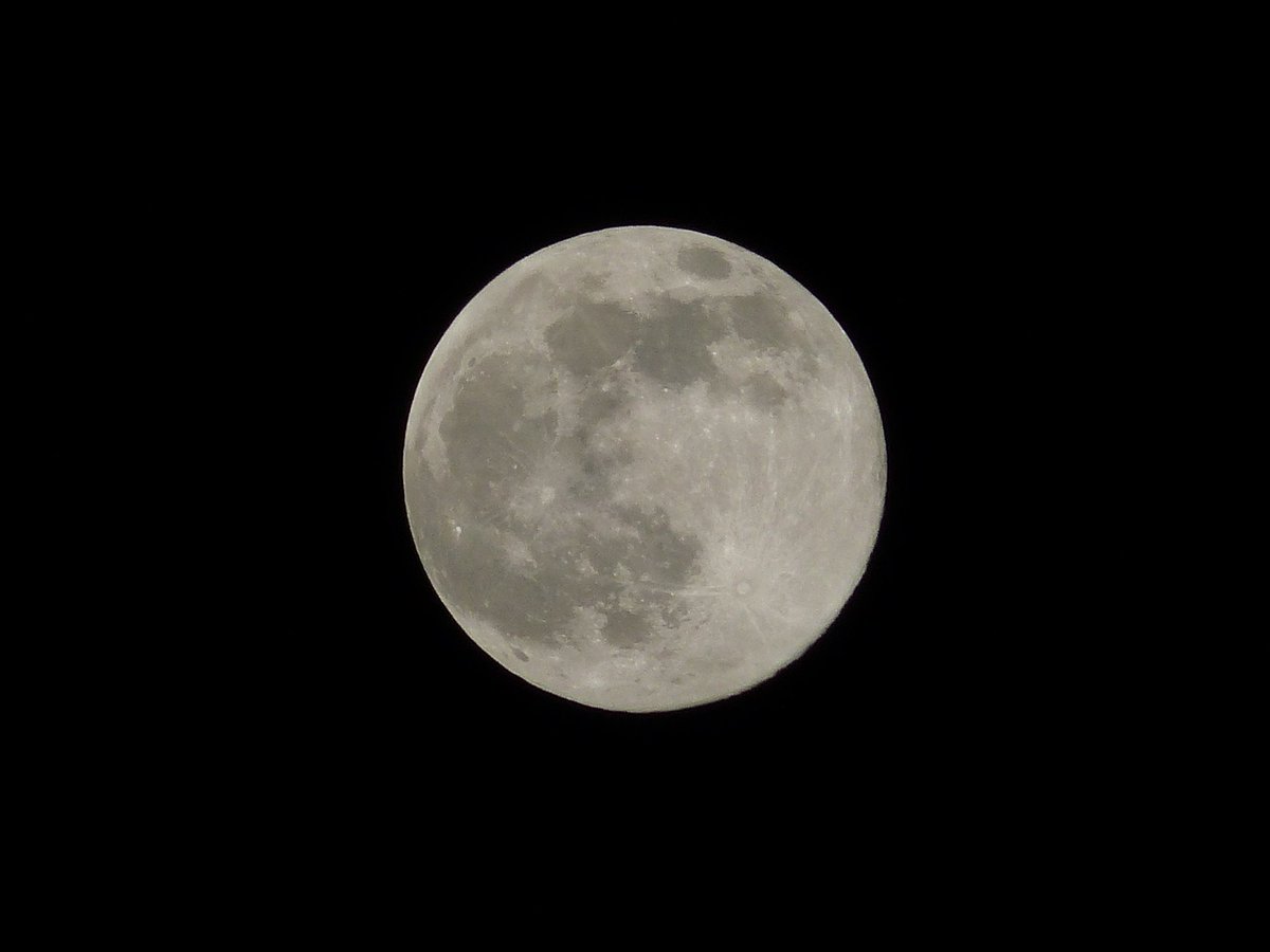 MSM_04_ZEONIC's tweet photo. 2025年11月5日 水曜日 20:58
#月 #月の写真 #月撮影 #Moon https://t.co/CqCVqfhBQ4