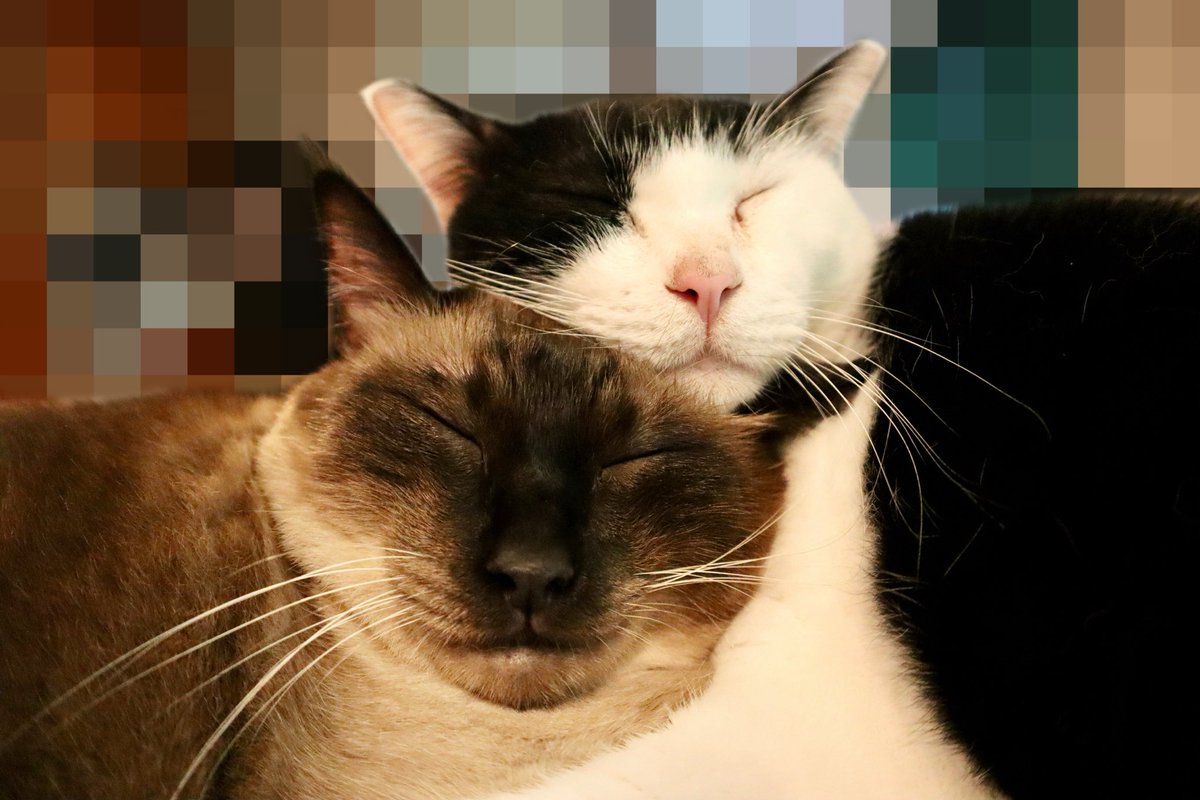 yukichiです♡ ちち💙💎🫧 (@love32chichi) / Posts / X