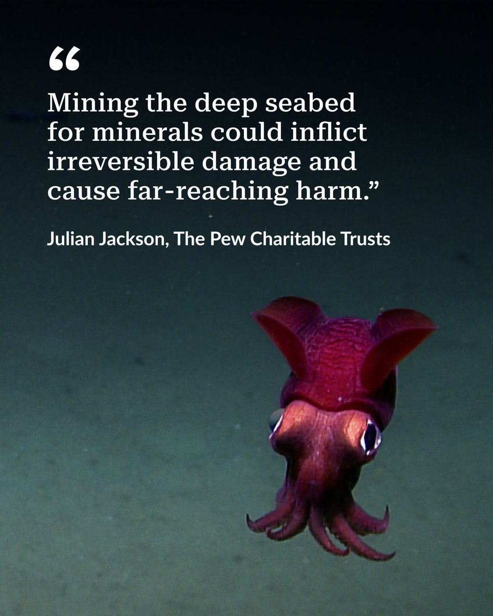 It's time to hit pause⏸️

"Mining the deep seabed for minerals could inflict irreversible damage," says our @AllatSea4. The risks of deep-sea mining far outweigh any rewards.