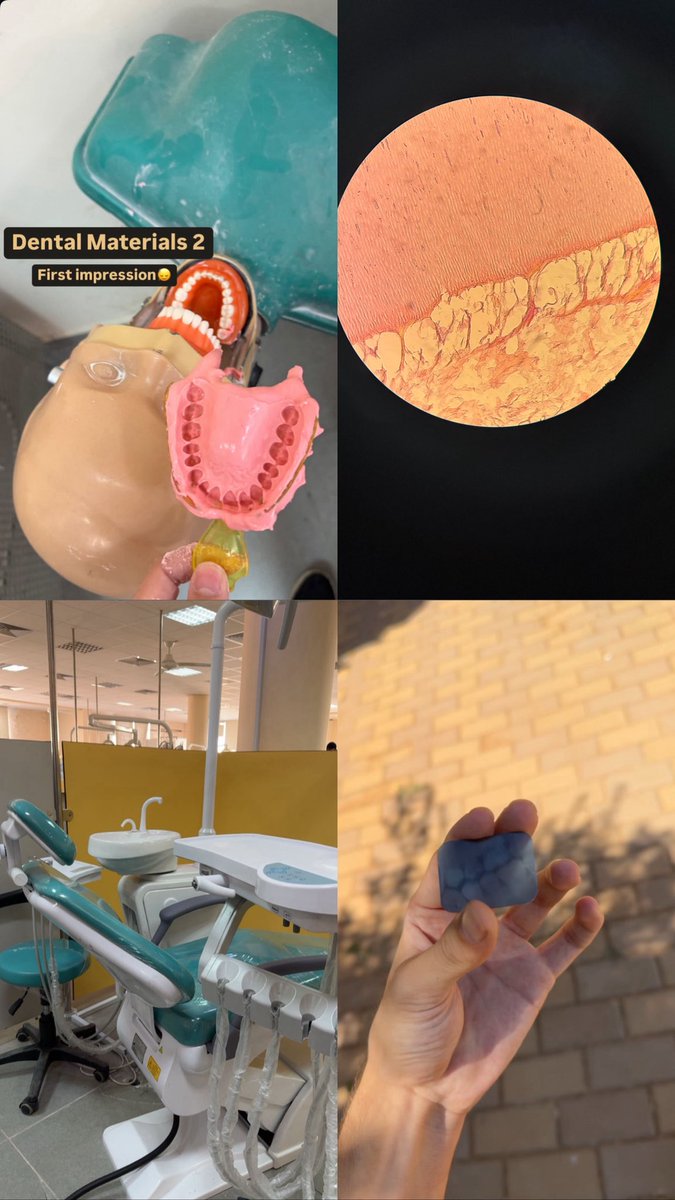 Day Of Dental Student 👨🏻‍⚕️