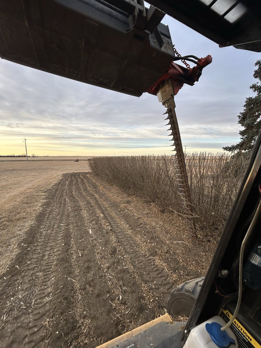 A little farm yard manscaping this morning