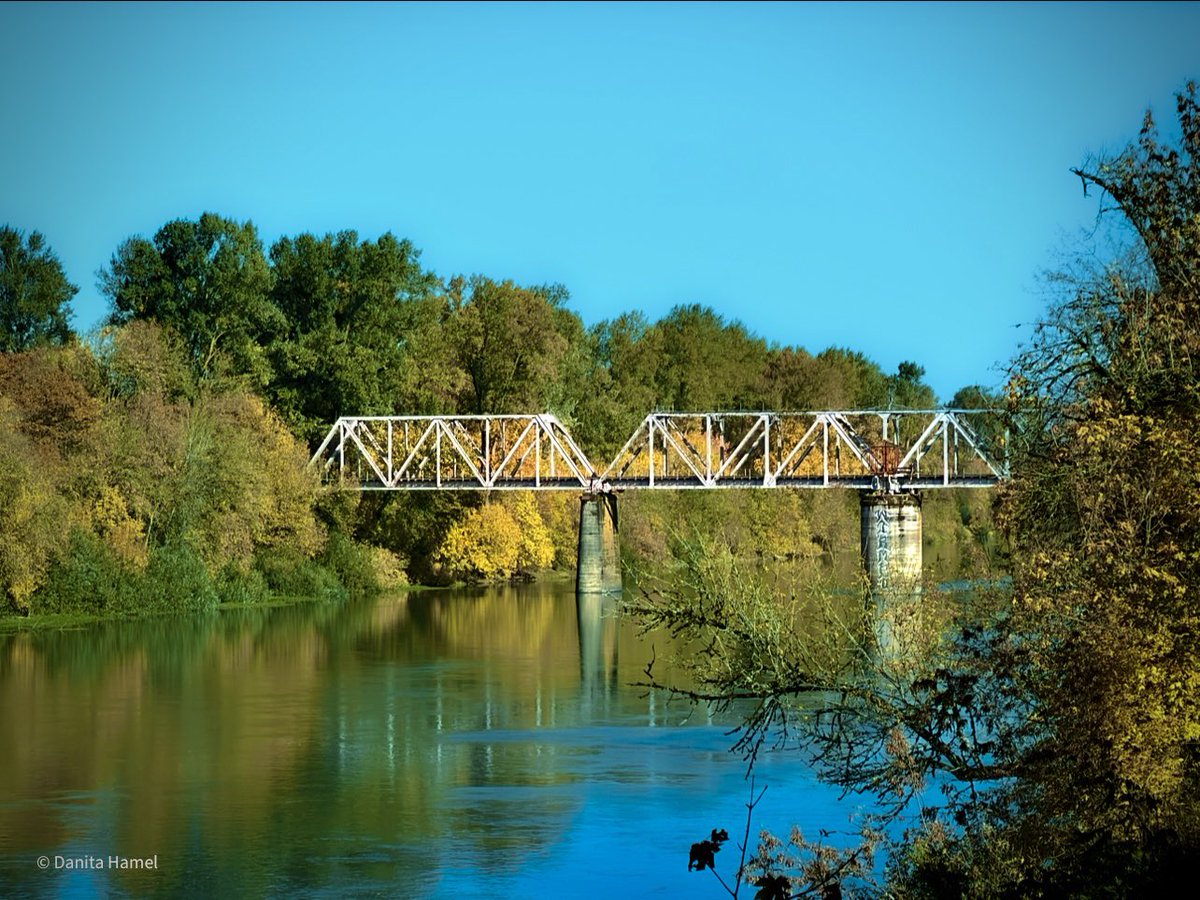 danitahamel's tweet image. Happy Wednesday everyone!☕️🫖😀

Today’s photo theme is: Where I Live 🏞️🌉

#WhereILive