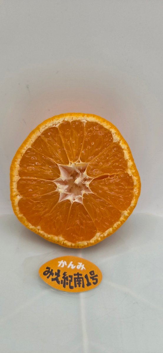 かんみ10月号2025年
107.みえ紀南1号
重さ77g
糖度13.8
種なし。
甘味★★★★☆
酸味★☆☆☆☆
香り★★☆☆☆
温州みかんの中でも食感はプチプチしている印象。香りとしてはっきりとした温州みかんの香りがあり、華やかさがある。
#かんみ