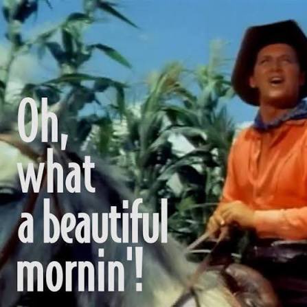 TheRealMattC (@therealmattc) on Twitter photo 