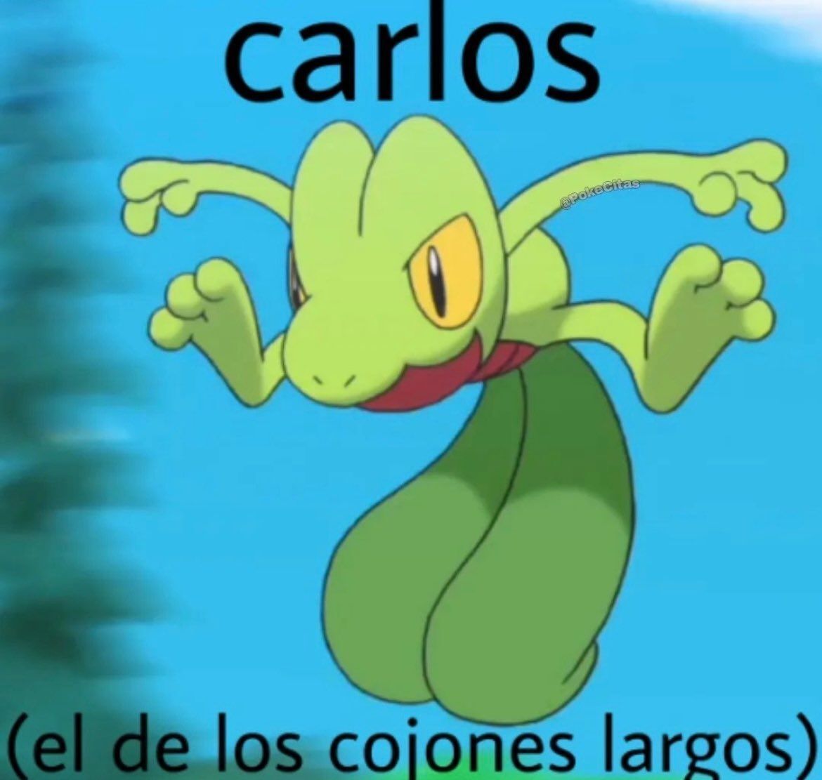 chincheto pirata somali (@wikipistacho) on Twitter photo 