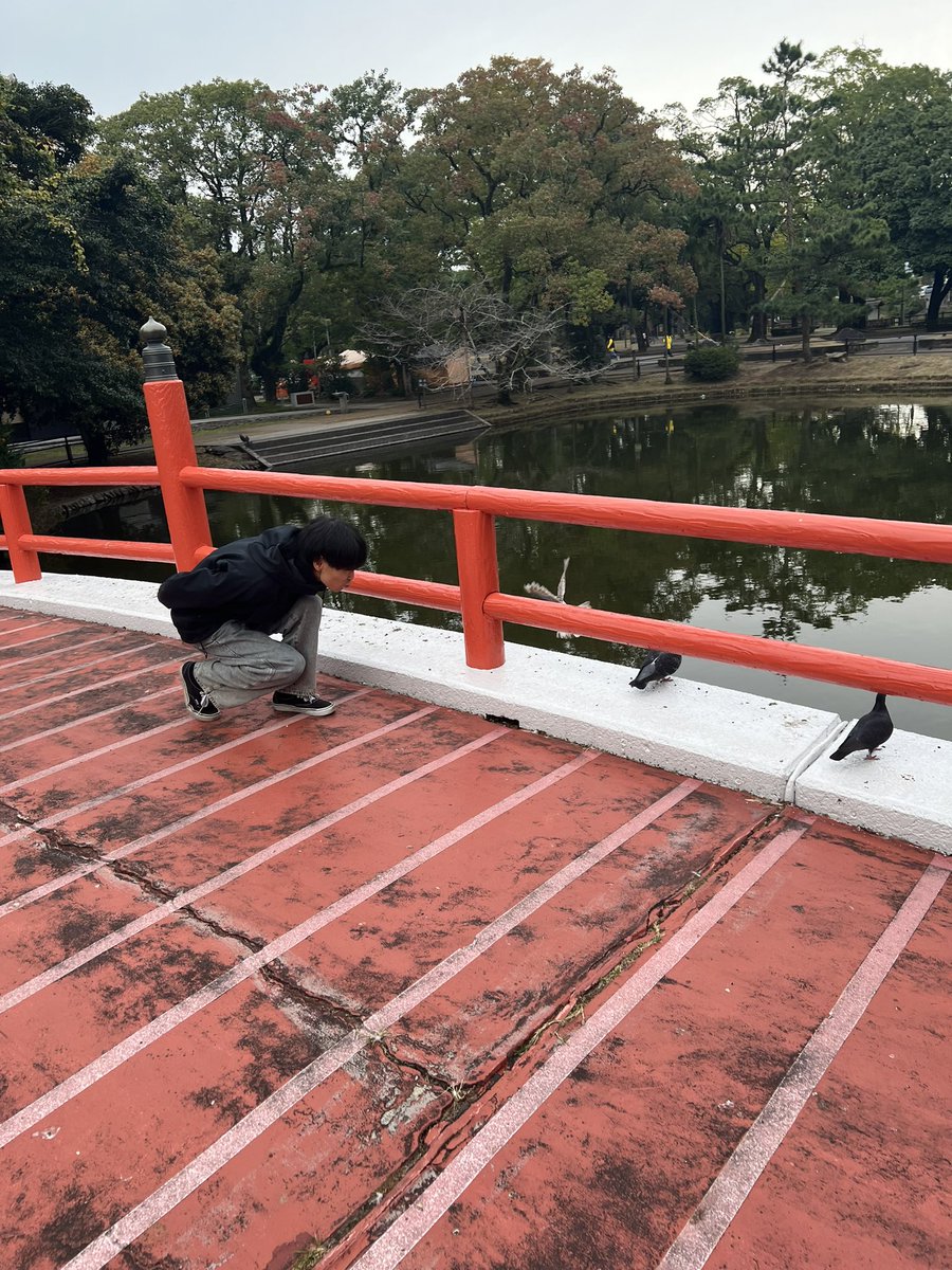 井嶋 啓介 tweet media