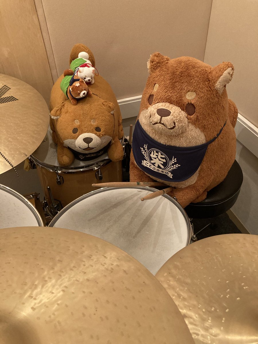 みっこ (@namiki1128) / Posts / X みっこ (@namiki1128) / Posts / X