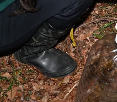 kc lee (@kclee0547216816) on Twitter photo 