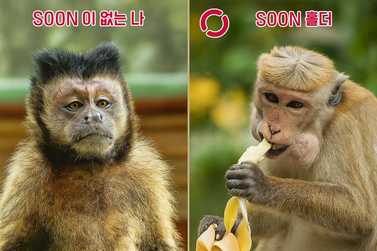 soon_svm_korea's tweet image. 😂 SOON이 없는 나 vs SOON 홀더 🍌

왼쪽: “시장 또 떡락했어…”
오른쪽: “바나나 맛있네~ 수익도 달다 🍌”
#SOON #SVM #CryptoMeme #DeFi #트레이더밈