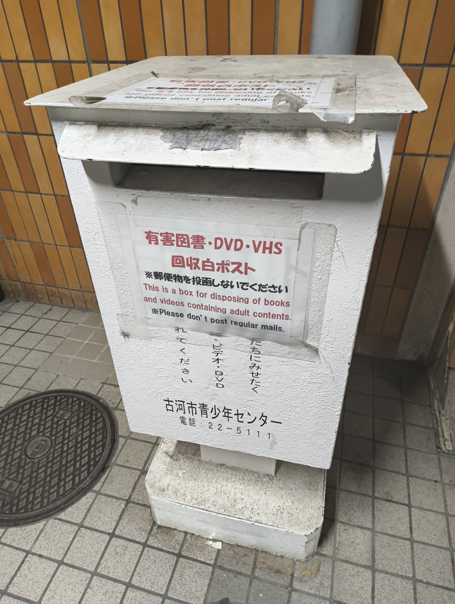 やすきちゃまページ エリカの招待 SAR SV2a ポケモンカード151 206/165 PSA10