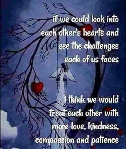 KDH (@kellyharrelson5) on Twitter photo 