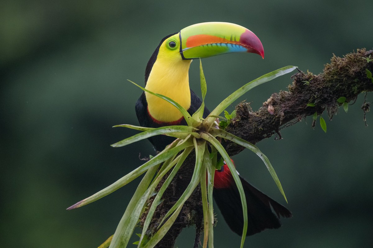 Midori Paxton tweet media