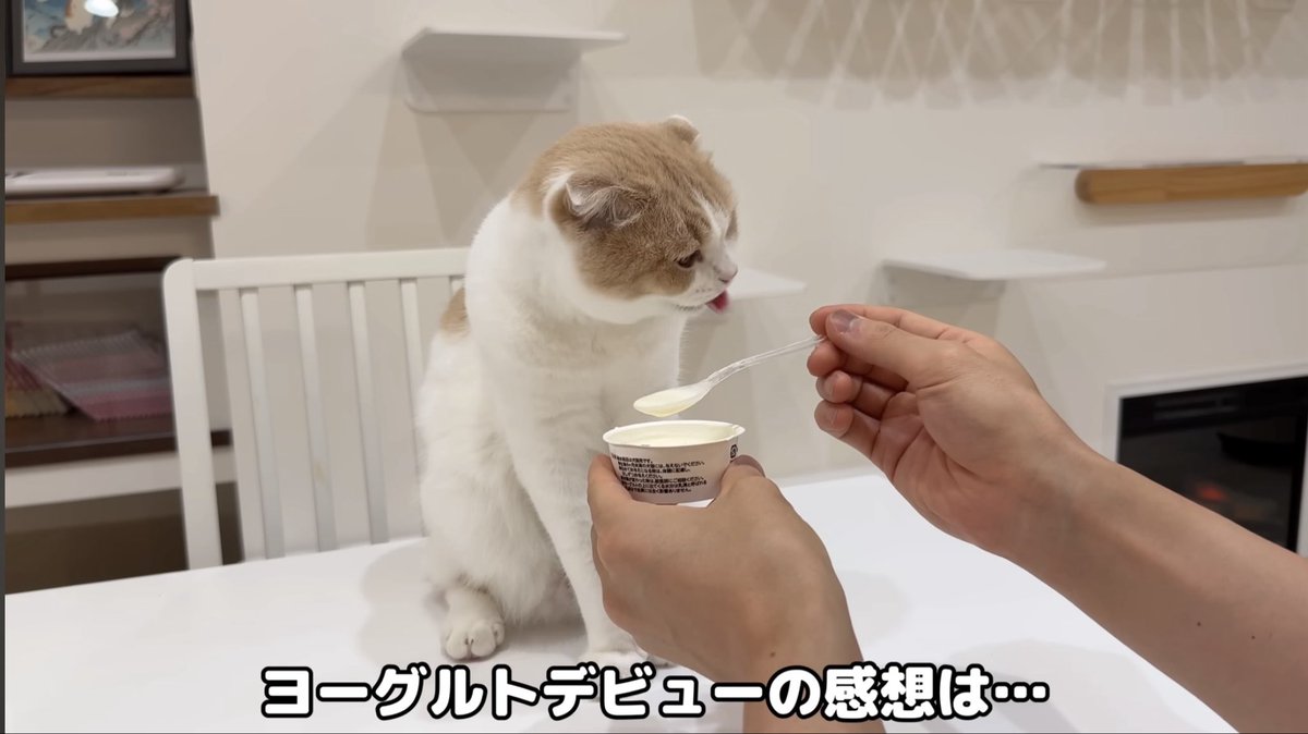 もちまる日記 - Search / X