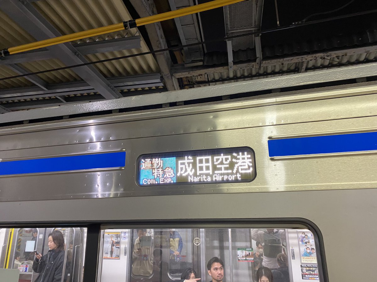 らてにゃん🐯㌠ (@Rx__Cafe) / Posts / X