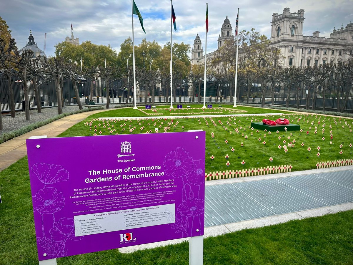 Margaret Mullane MP tweet media