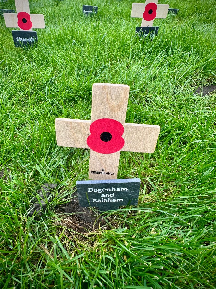 Margaret Mullane MP tweet media