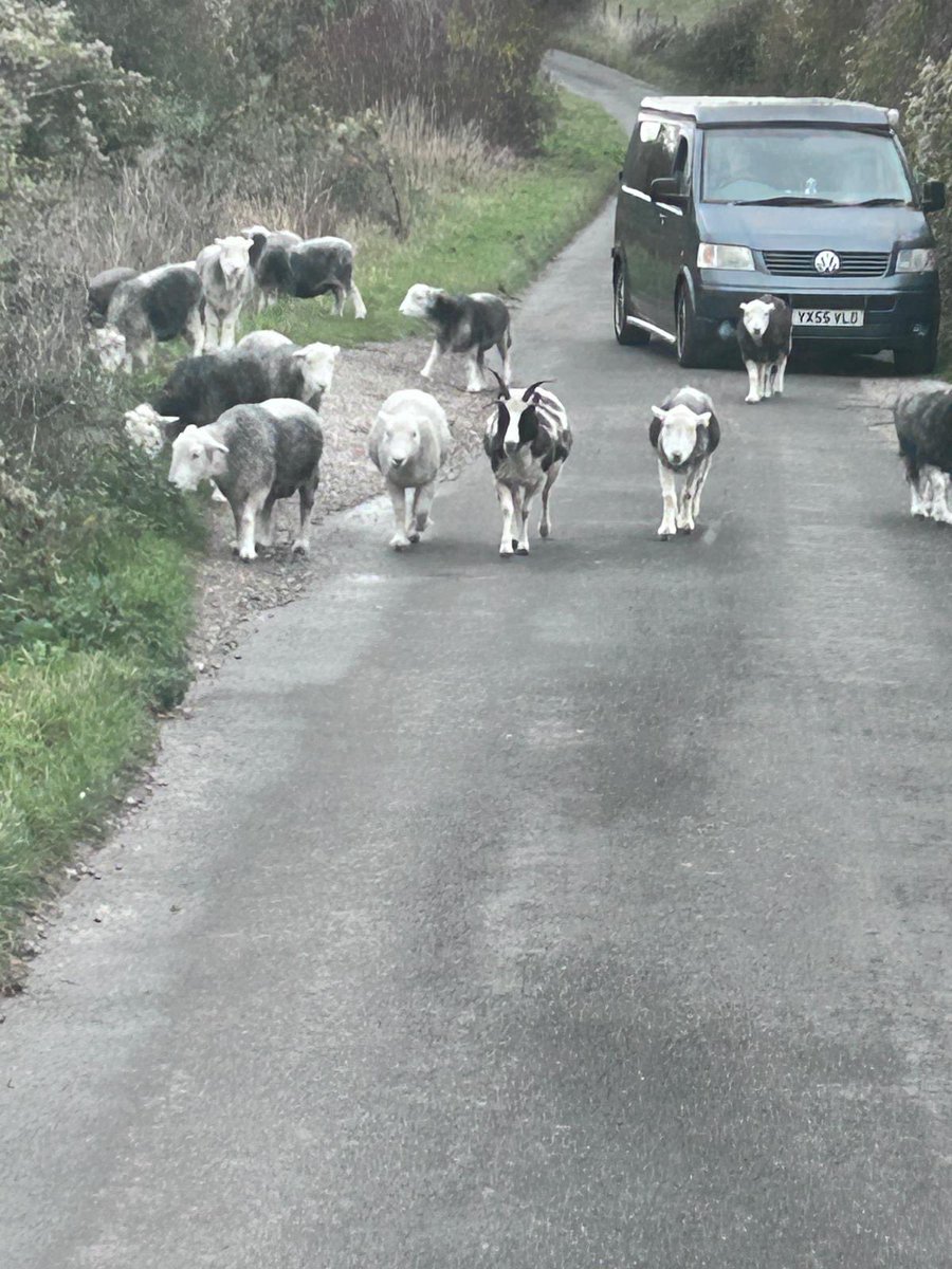 All Saints' NW2 tweet media