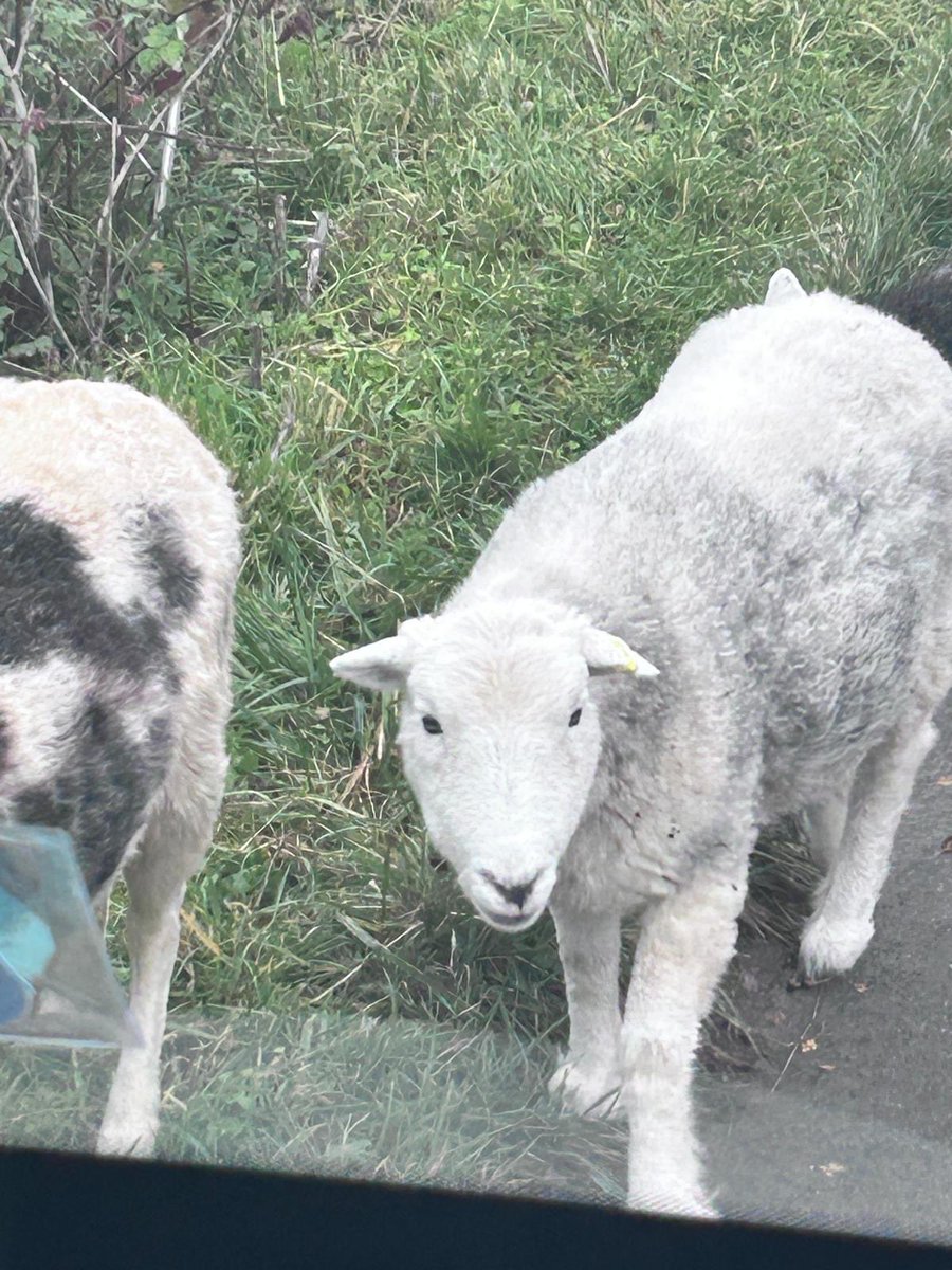 All Saints' NW2 tweet media