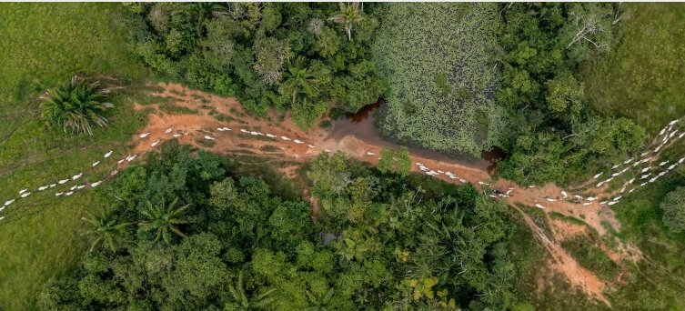 urtupdates's tweet photo. The COP30 @UNFCCC conference will take place from 10-21 November 2025 in Belém, Brazil. It will bring together world leaders, non-governmental organizations, and civil society to discuss priority actions to tackle climate change. To inspire change, @vpo_tanzania, together with its partners, will share, during different events and meetings, existing best-practice programs on climate adaptation and mitigation from commodity sectors around the world.