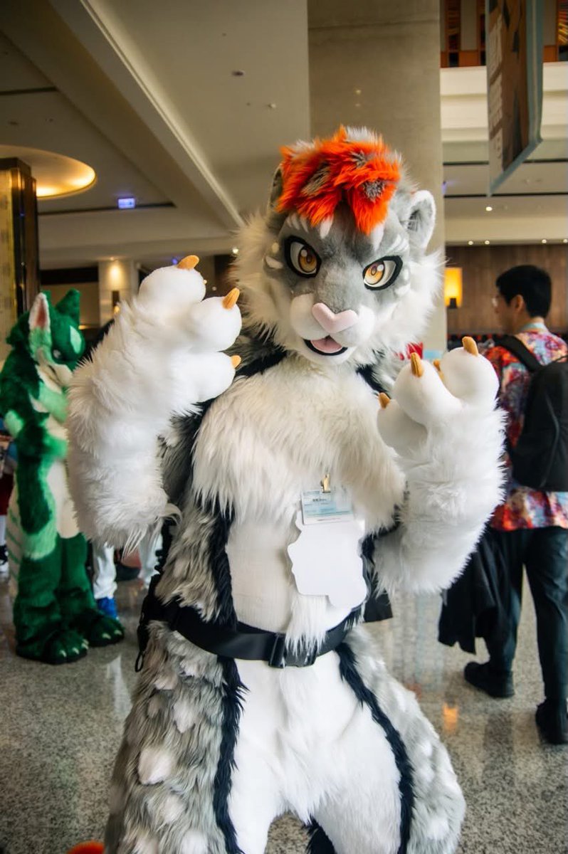 I’m 薛丁格的邱老虎 tweet media