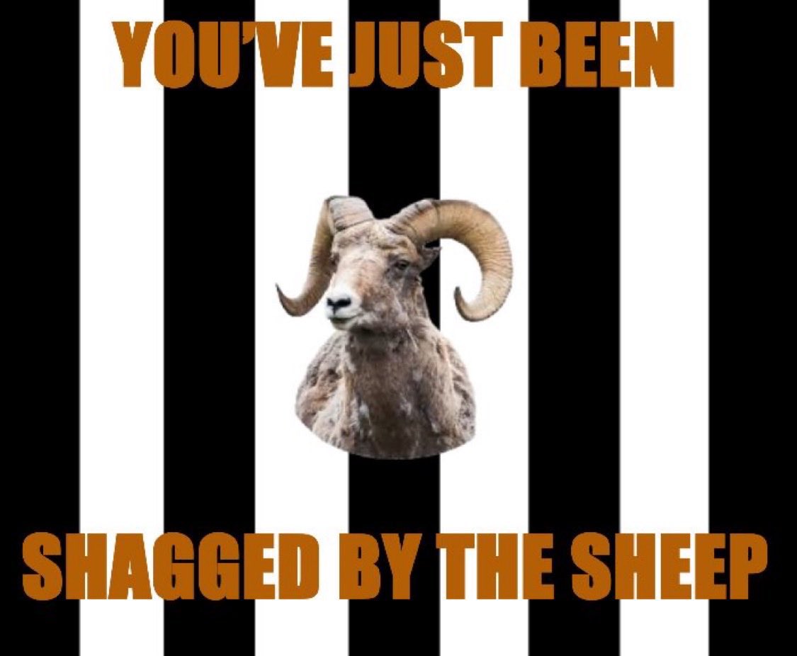 Deadtrim136908's tweet photo. @HullCity https://t.co/AnCJ0syJNP