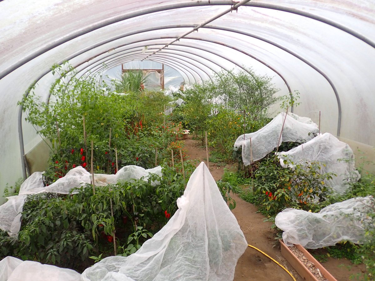 Chris Fowler tweet media